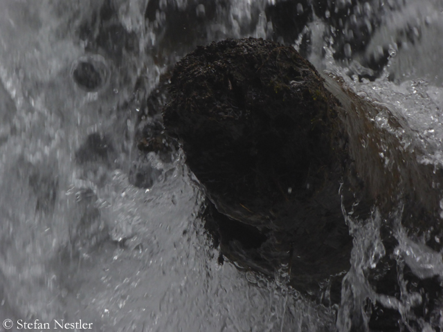 Salzburger-Land-Umspültes Holz im Wasser