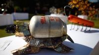 Schildkröte mit Gaskanister-Panzer
