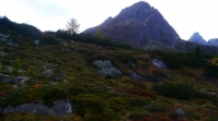 bild-2