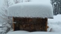 Schnee auf Dach