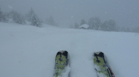 Ski im Schnee