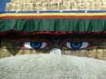 buddhas-augen