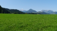 wiese_wilder_zahmer-kaiser