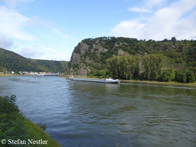 8-Loreley
