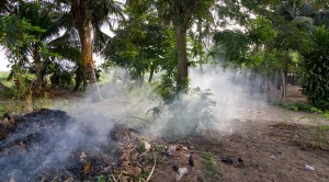Trash fire in a forest