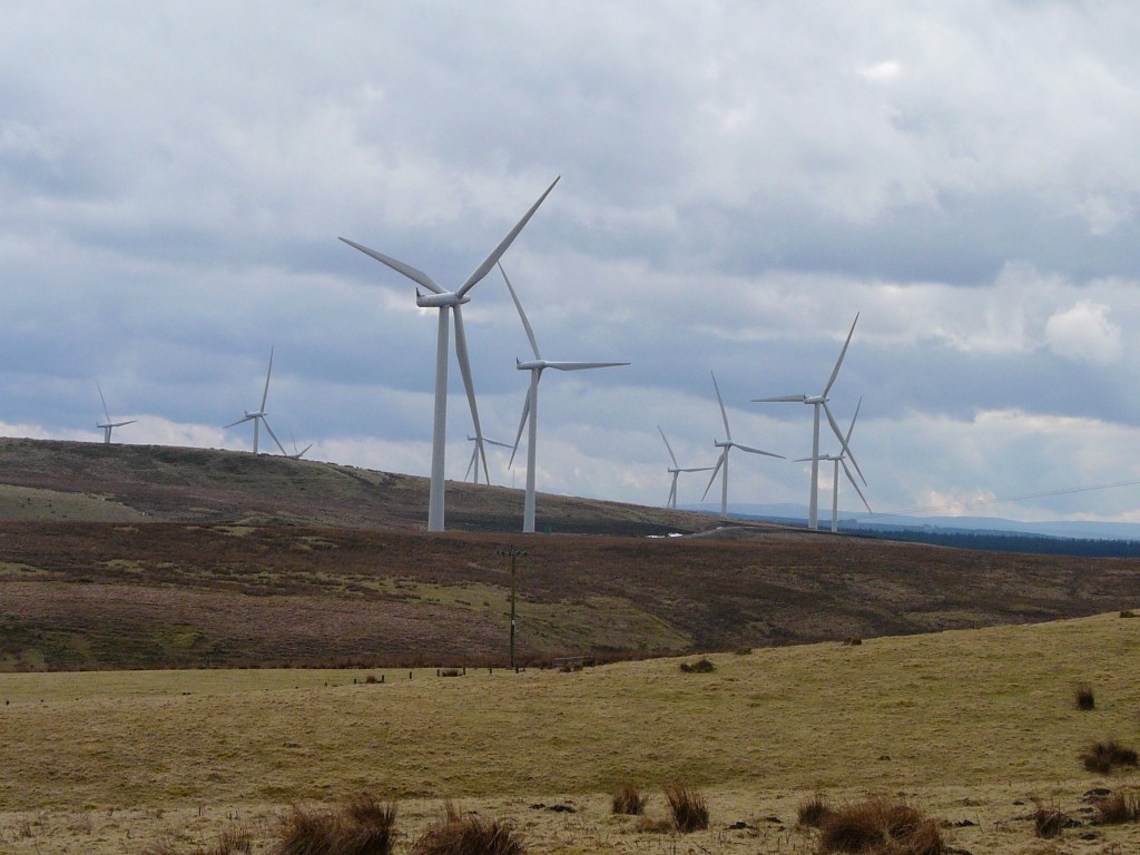 wind farm