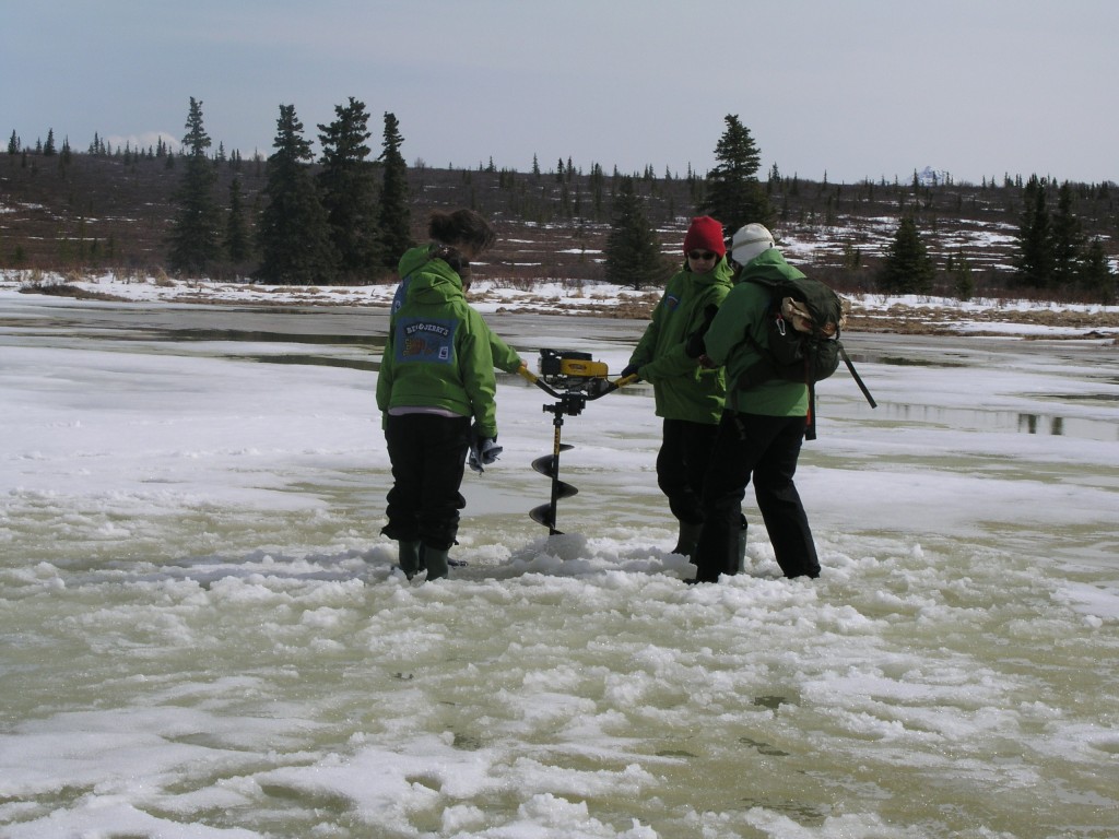 There is a huge amount of methane captured under Arctic permafrost. (Pic I. Quaile)