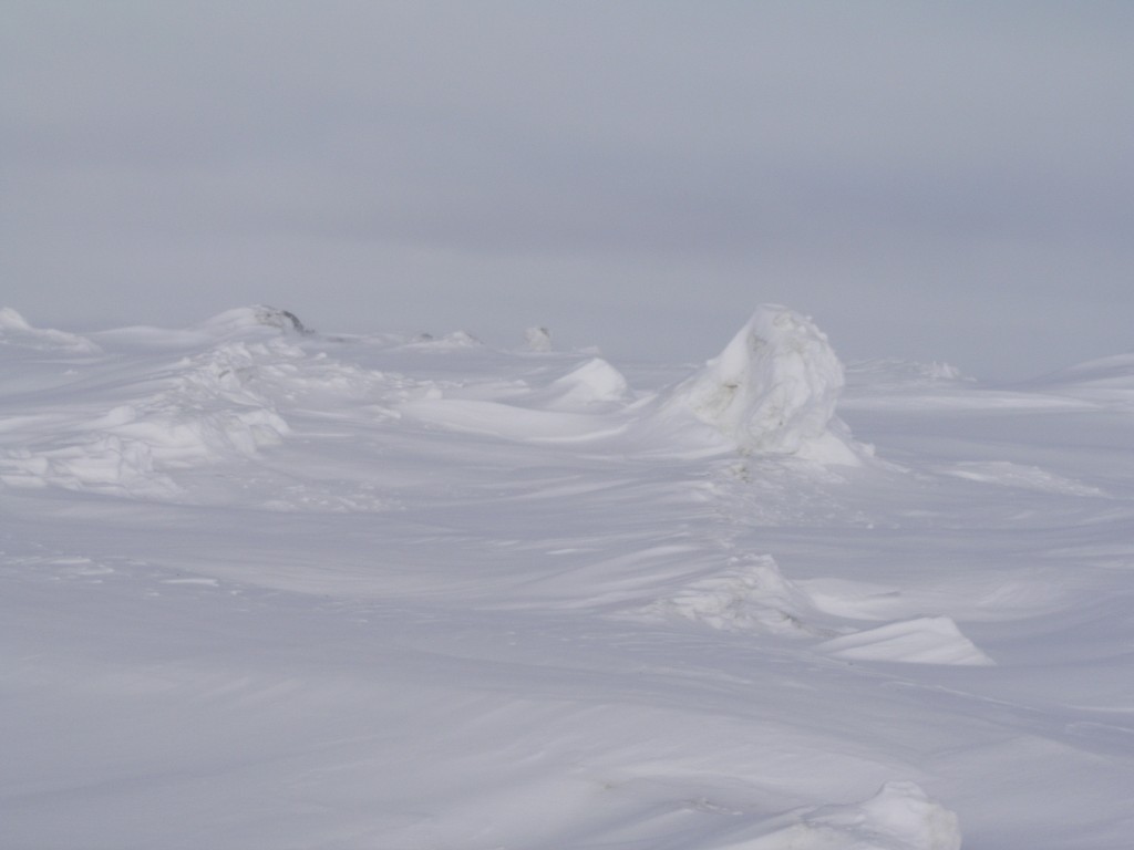 The frozen waves at Barrow reminded me of the meringue topping on Baked Alaska (Pic: I.Quaile)
