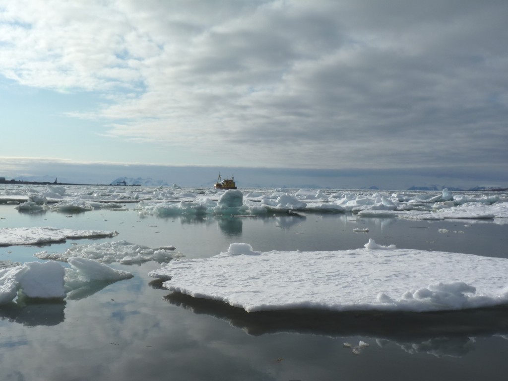Melting ice, north and south? (Photo: I Quaile)