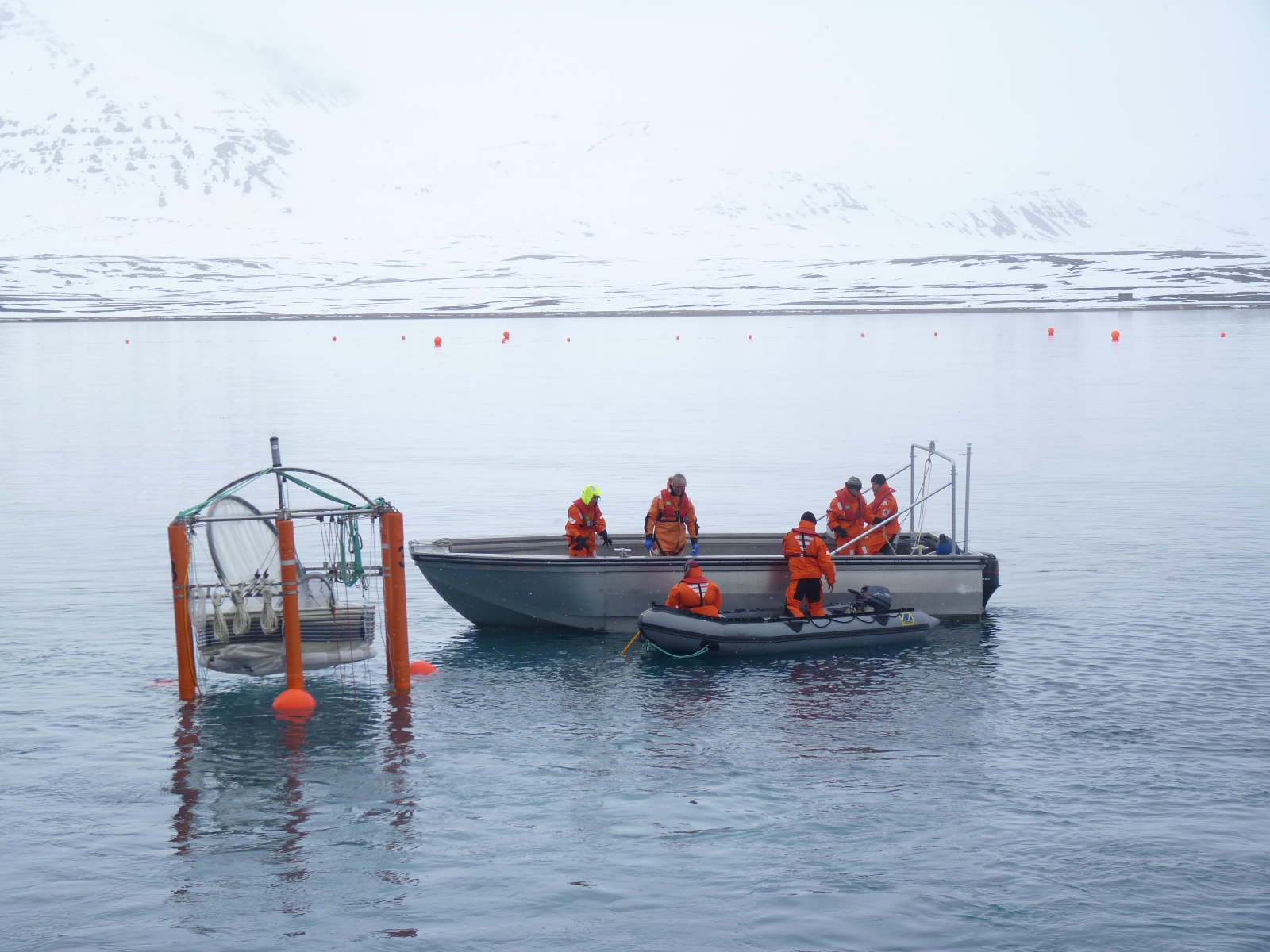 acidification team