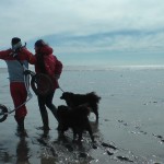 Michael Wigge und Sabine Kolk spazieren mit Hund im Watt
