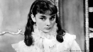 WTO Audrey2