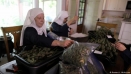 nuns7